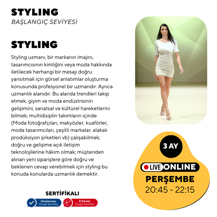 Styling -Baslangıç seviyesi