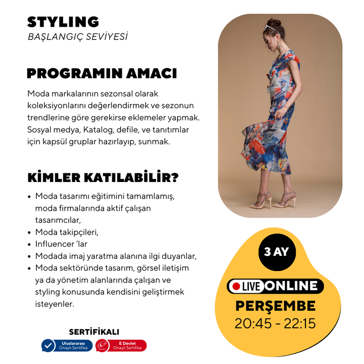 Styling -Baslangıç seviyesi